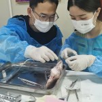 18-C-Tech-Implant-Sinus-lift-course-_-Shanghai